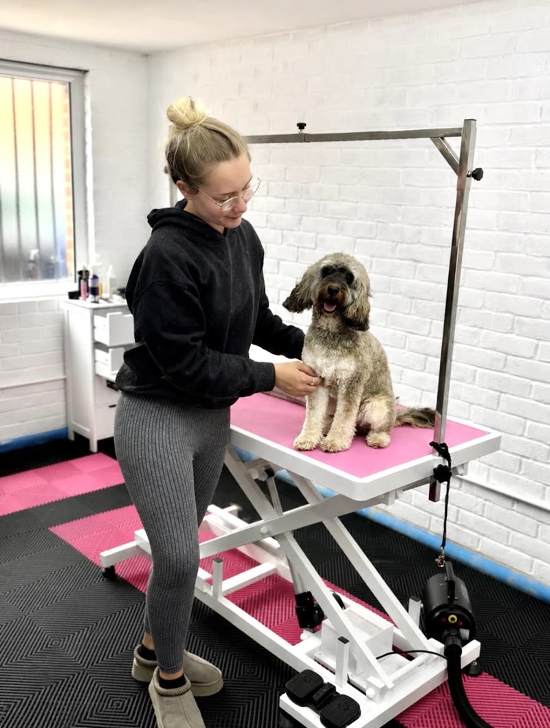Wide view of the white-brick grooming salon with a dog on the hydraulic table